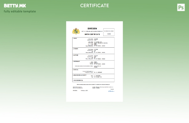 модерен стил Шведска извод од матична книга на родени Шаблон Word и PDF, целосно